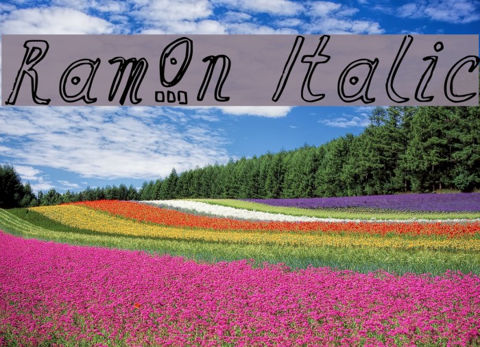 Ramon Italic Font examples