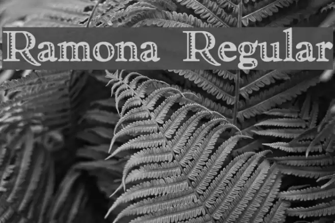 Ramona Regular Fuentes examples