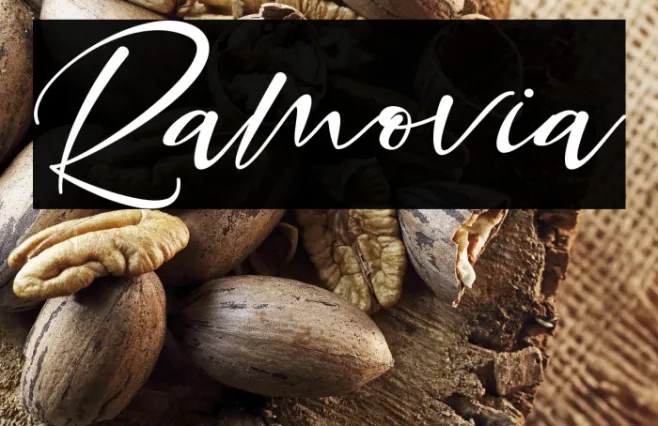 Ramovia Example 3