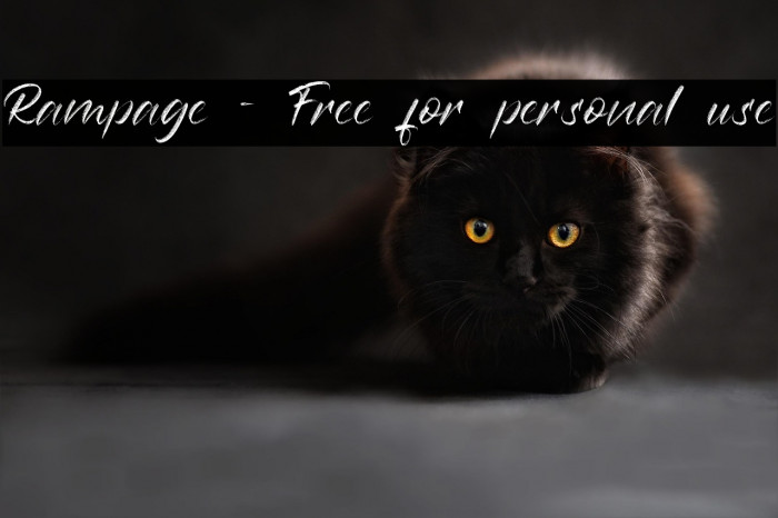 Rampage - Free for personal use Example 1