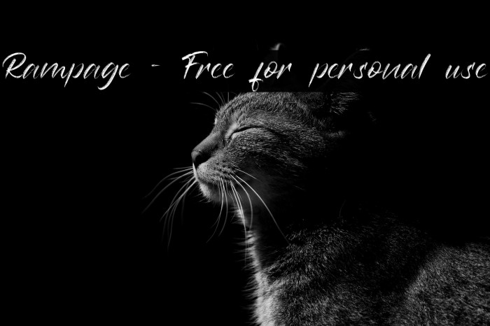 Rampage - Free for personal use Example 2