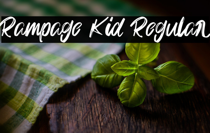 Rampage Kid Regular Example 3