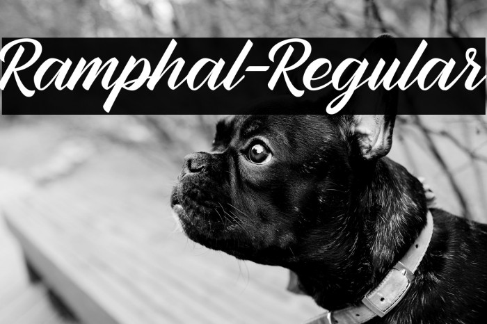 Ramphal-Regular Example 1