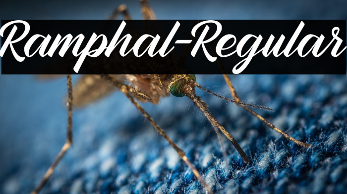 Ramphal-Regular Example 3