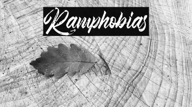 Ramphobias Font examples