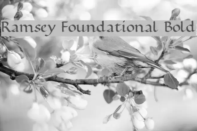 Ramsey Foundational Bold フォント examples