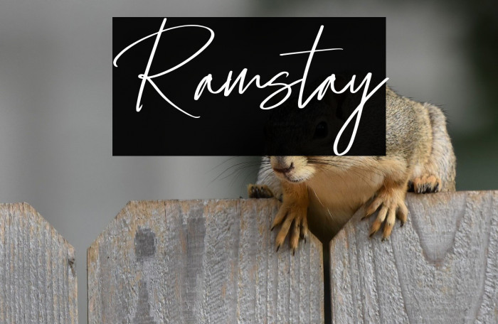 Ramstay Example 2