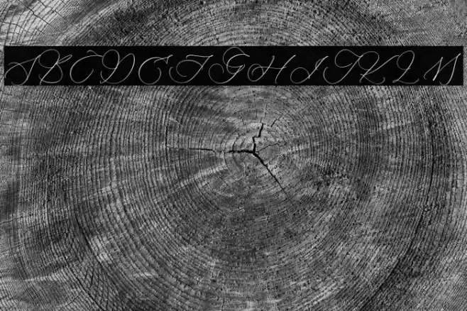 Ramsttale Chelliria Polices examples