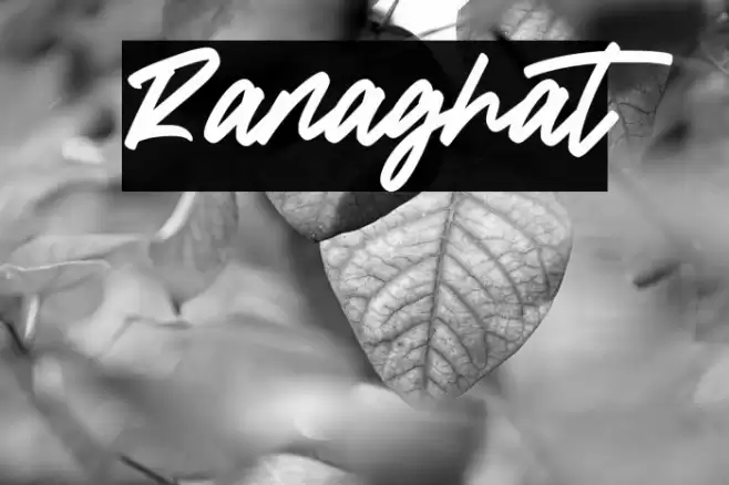 Ranaghat 字体 examples