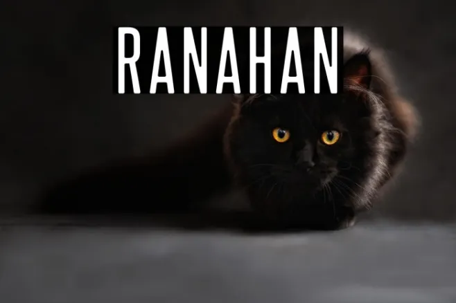 Ranahan Example 2