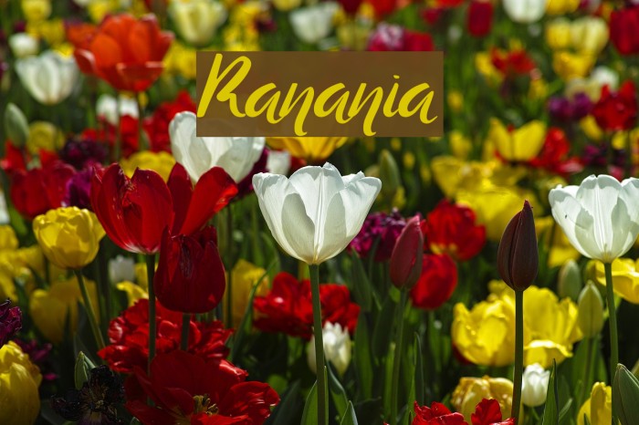 Ranania Caratteri examples