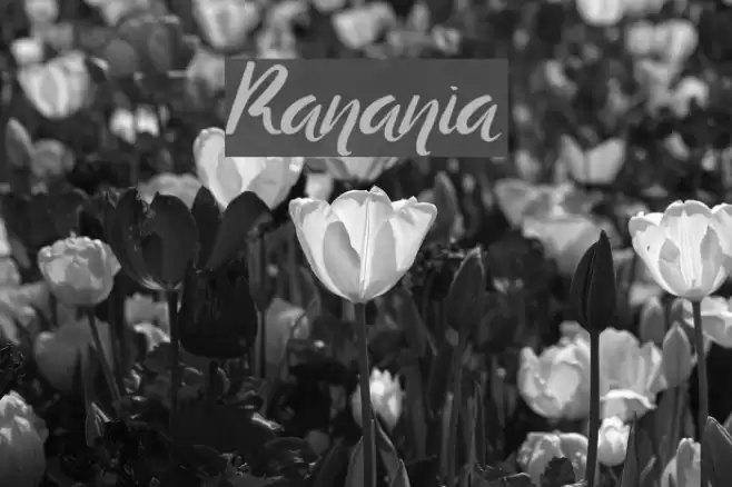 Ranania Caratteri examples