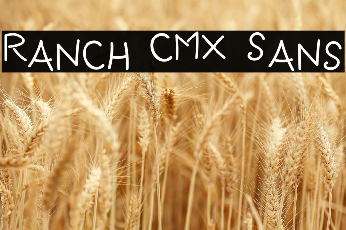 Ranch CMX Sans Example 1