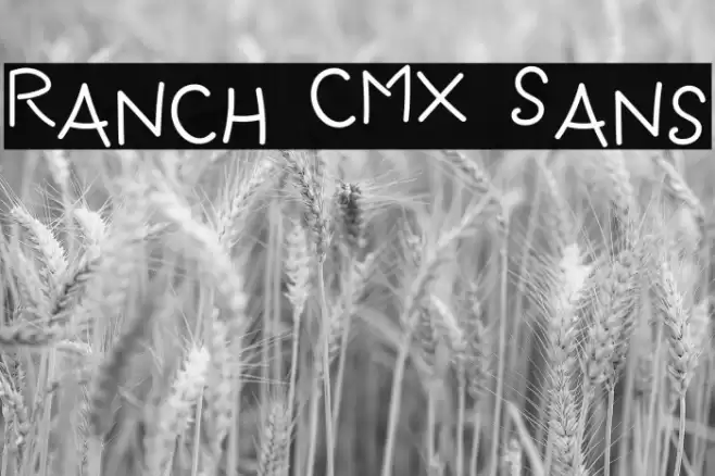 Ranch CMX Sans Font examples