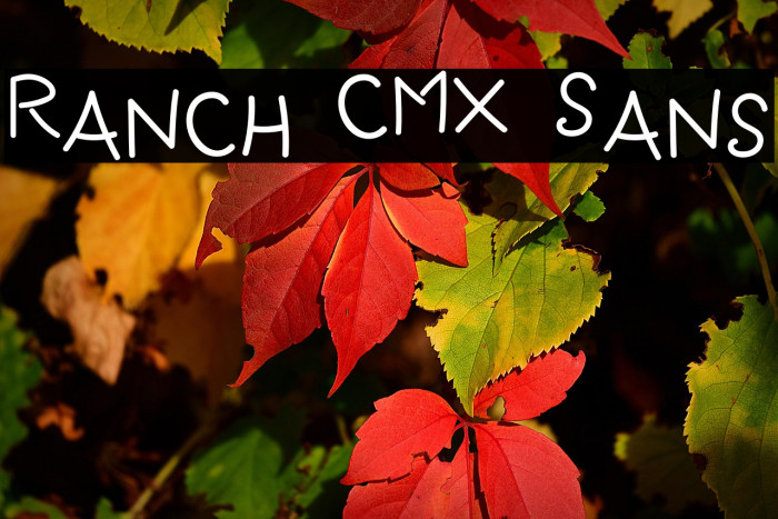 Ranch CMX Sans Example 3