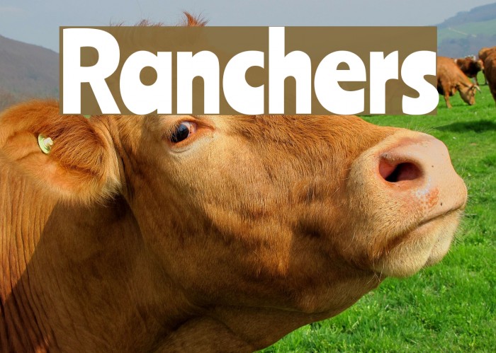 Ranchers Font examples
