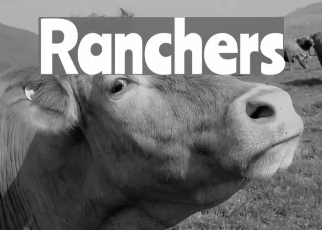 Ranchers Font examples