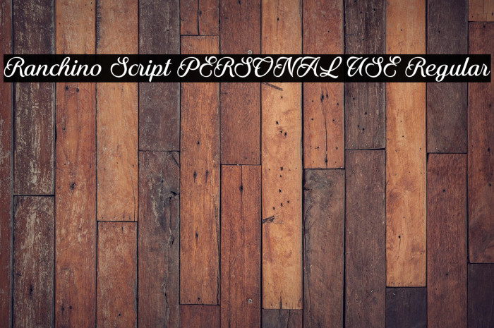 Ranchino Script PERSONAL USE Regular Example 1