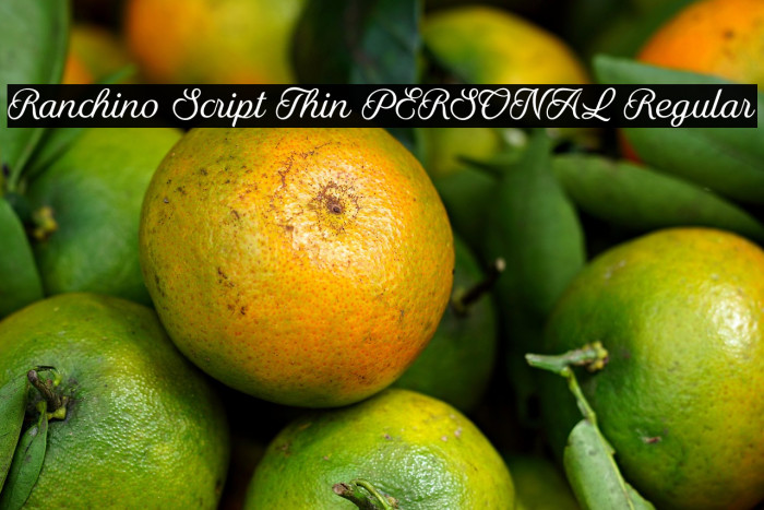 Ranchino Script Thin PERSONAL Regular Example 1