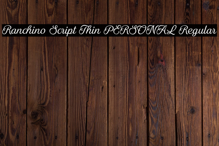 Ranchino Script Thin PERSONAL Regular Example 3
