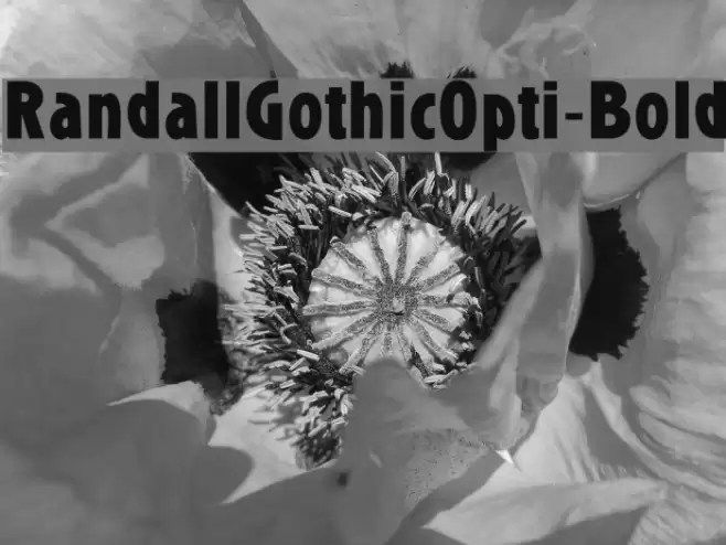 RandallGothicOpti-Bold Font examples