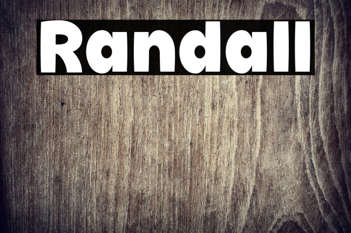 Randall Example 1