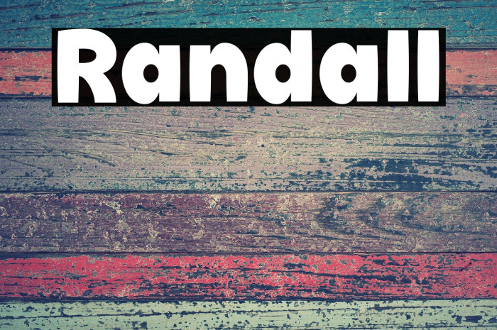 Randall Example 2