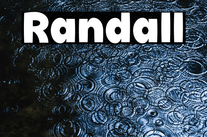 Randall Example 3