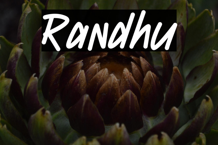 Randhu Example 2