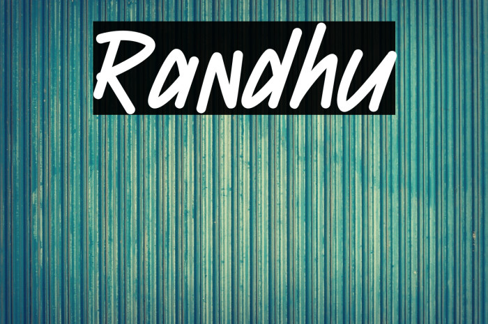 Randhu Example 3