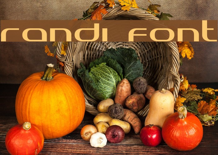 Randi Font examples
