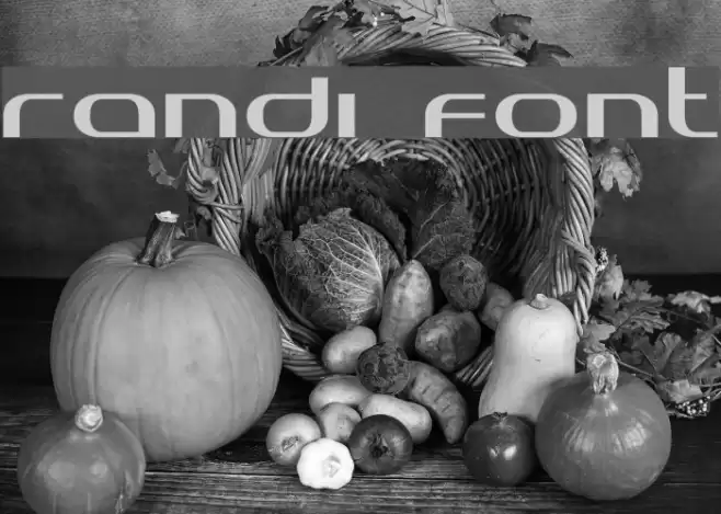 Randi Font examples