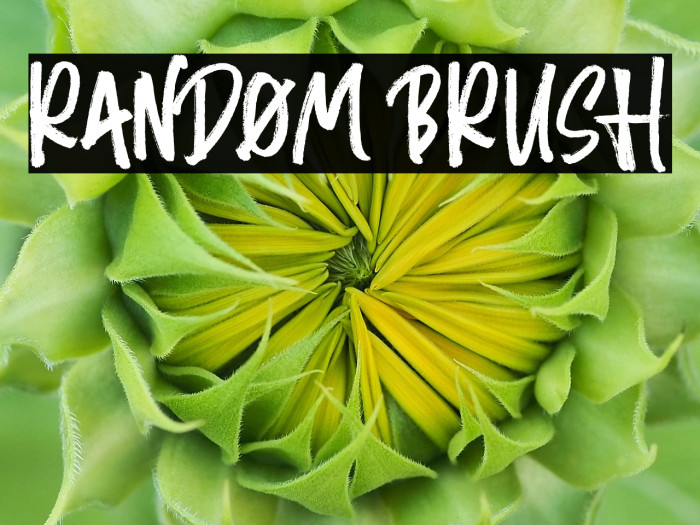 Random Brush Example 3