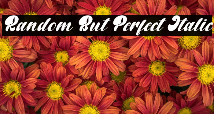 Random But Perfect Italic Font examples