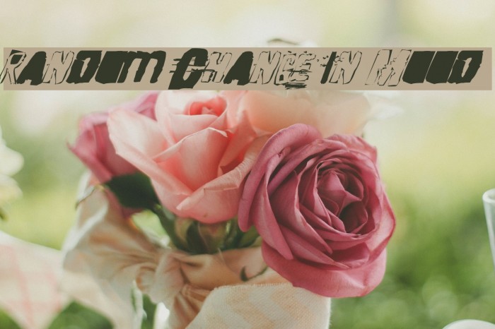 Random Change in Mood Font examples