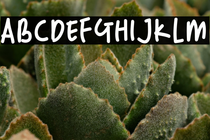 Random Handwritten Example 2