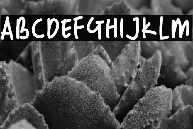 Random Handwritten Font examples