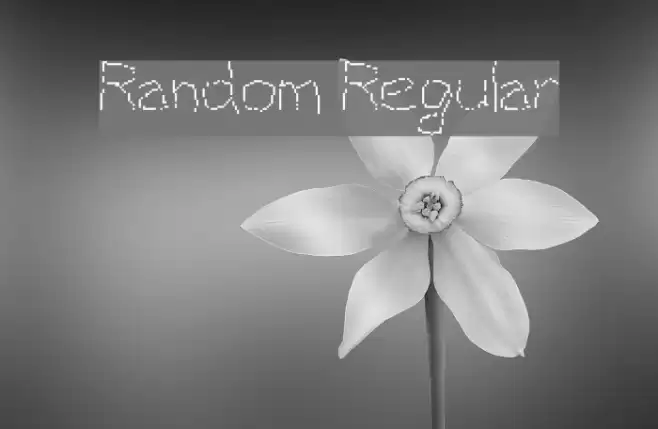 Random Regular Font examples