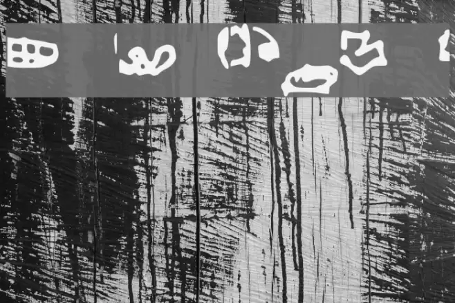 Random フォント examples