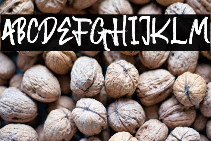 RandomBrush Example 1