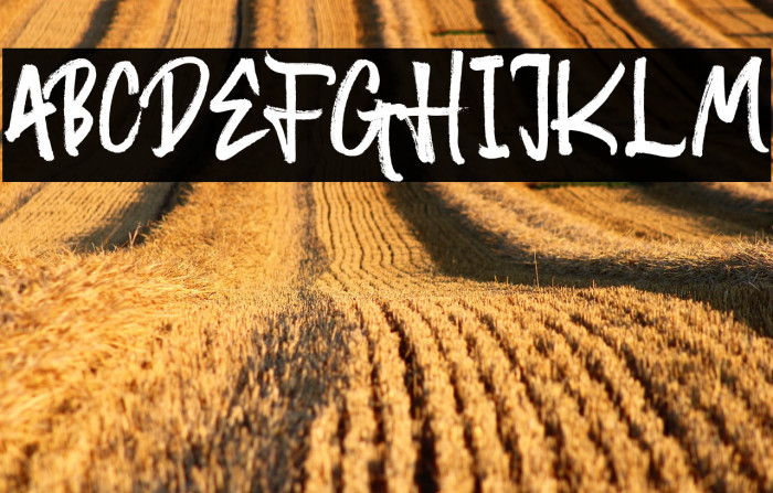 RandomBrush Example 3