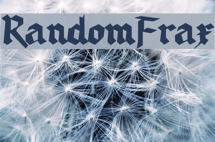 RandomFrax Font examples