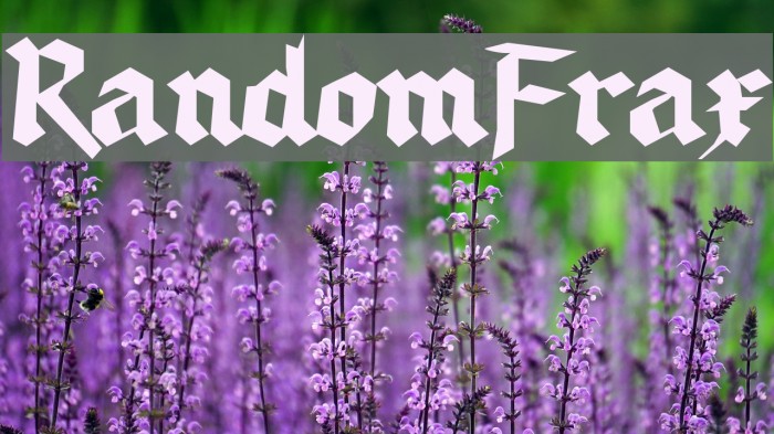 RandomFrax Font examples