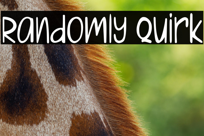 Randomly Quirk Example 3
