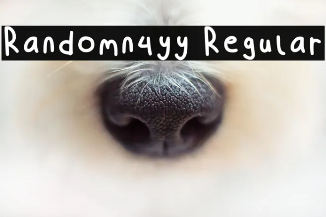 Randomn4yy Regular Example 1