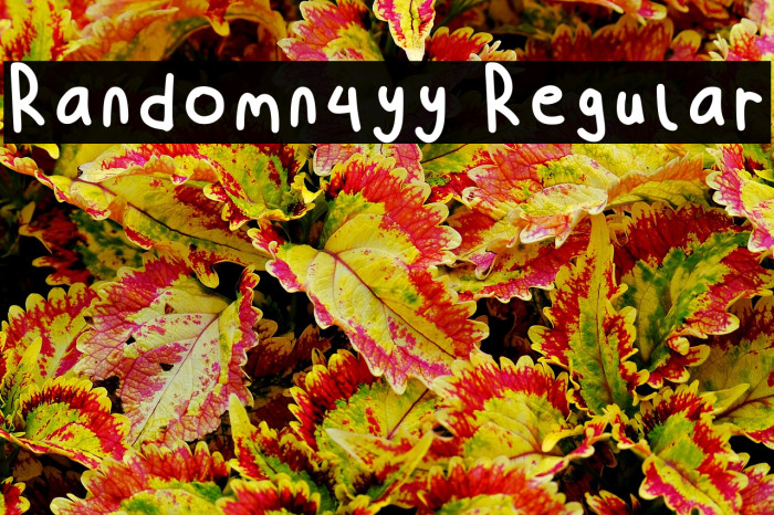 Randomn4yy Regular Example 2
