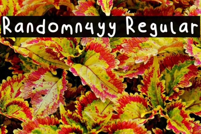 Randomn4yy Regular Example 2