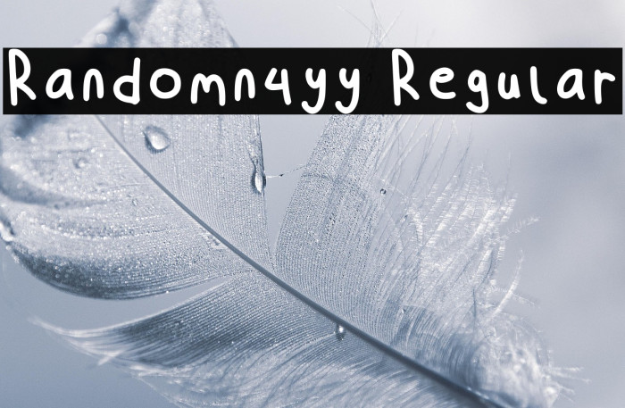 Randomn4yy Regular Example 3