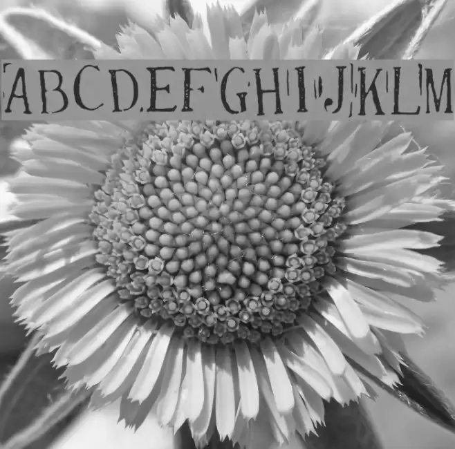 Randy Described Eternity Font examples