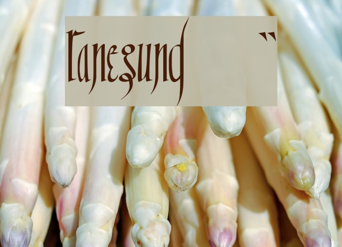 Ranegund!` Font examples